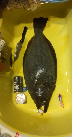 釣果