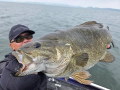 スモールマウスバスの釣果
