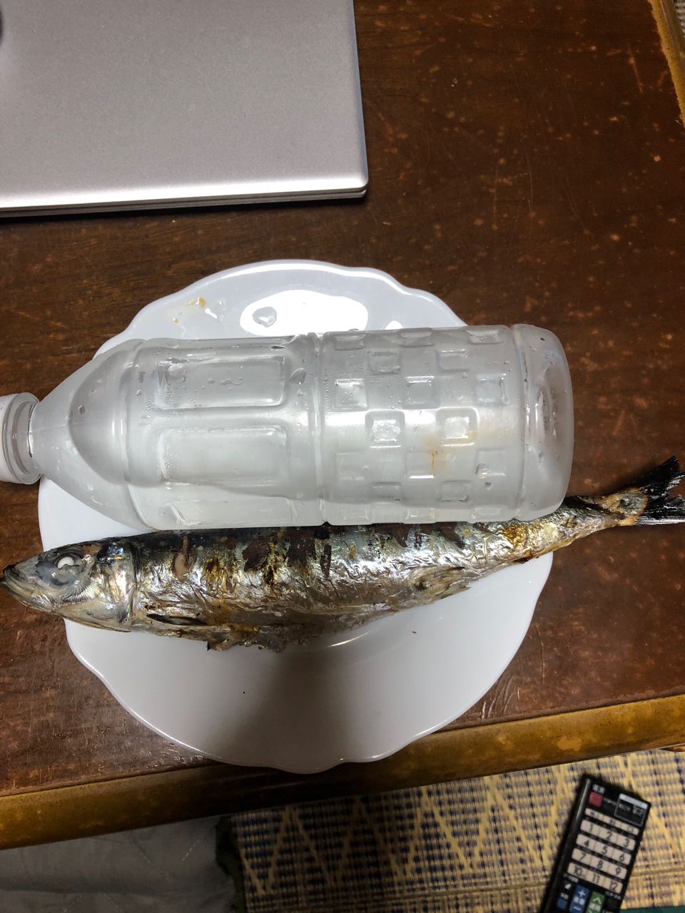 good starさんの釣果 3枚目の画像