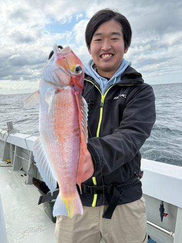 アカアマダイの釣果