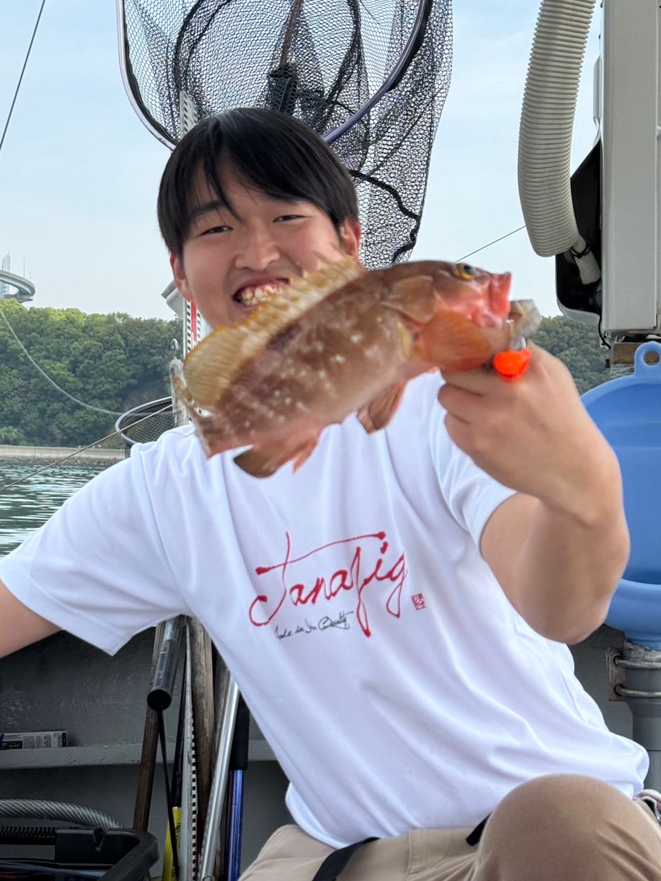 アコウ