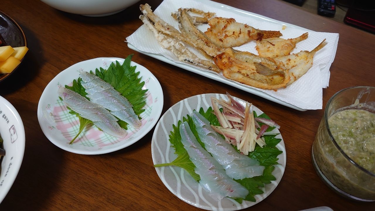 シロギス
