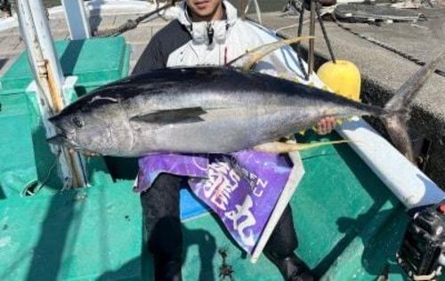 キハダマグロの釣果