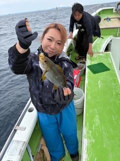 イサキの釣果
