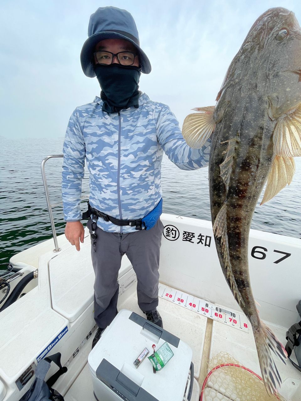 マゴチ
