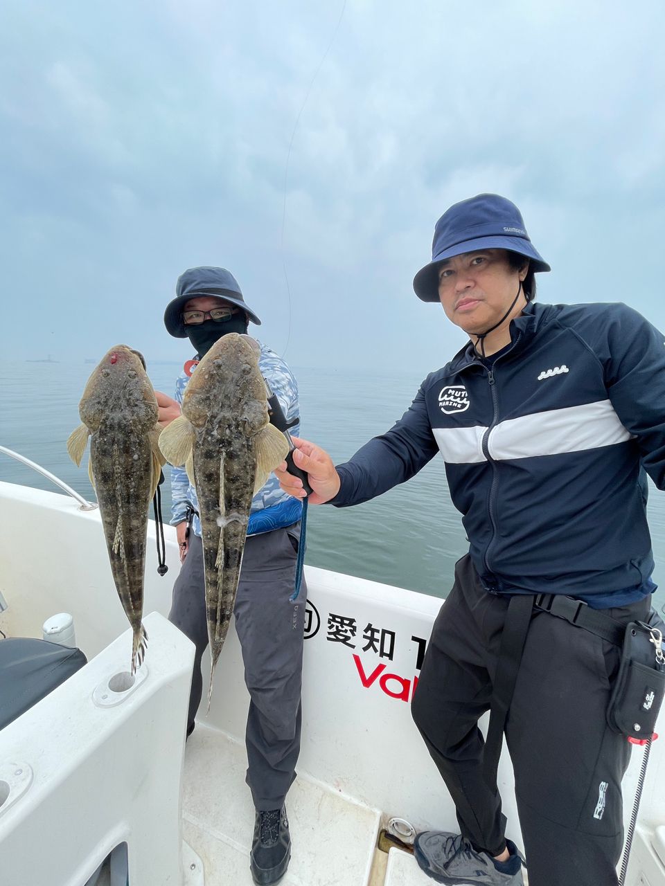 マゴチ