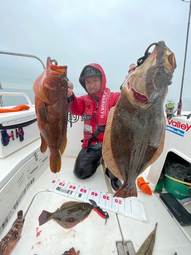 ヒラメの釣果