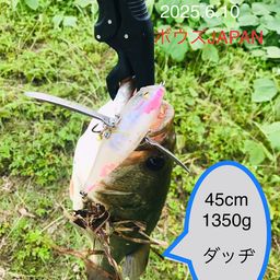 ブラックバス