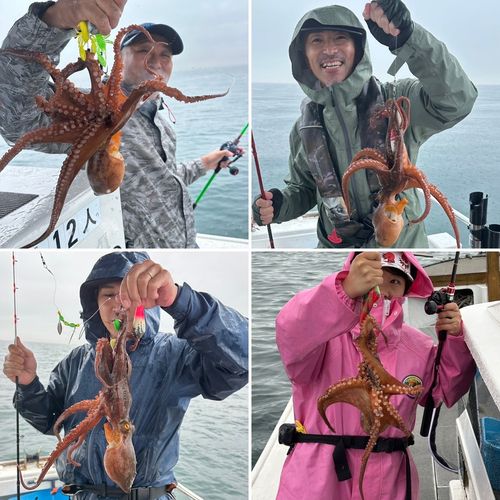 タコの釣果