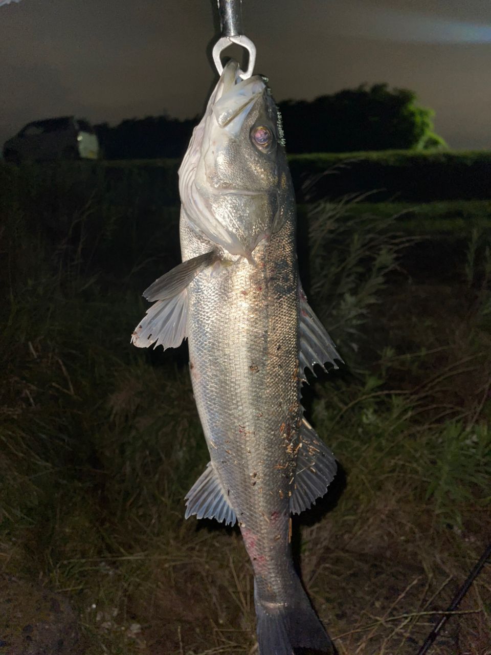 DAIWA 21オーバーゼア グランデ（ショアジギングモデル） 100MH