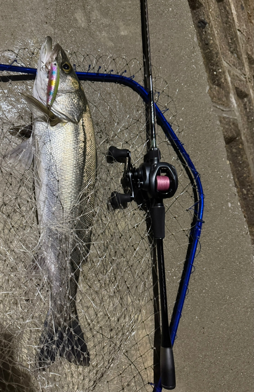 SHIMANO 20ルナミス B86MLの最安値・インプレ・釣果 | 本音の