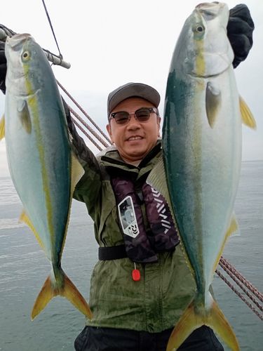 ワラサの釣果