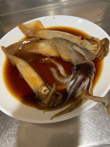 スルメイカ