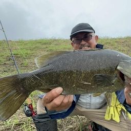 スモールマウスバス