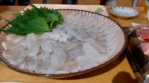 ヒラメの釣果