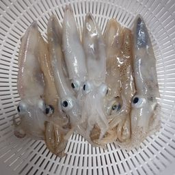 マメイカ