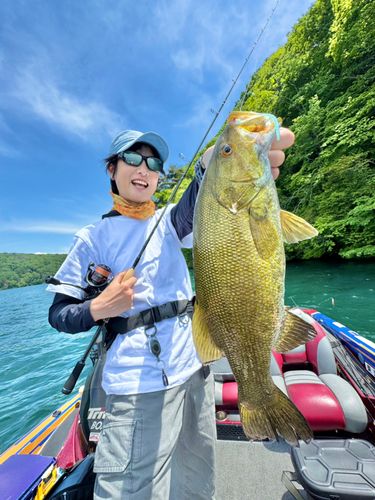 スモールマウスバスの釣果