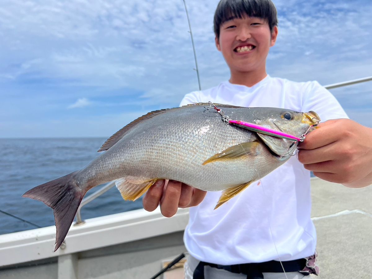 やす淡路島アングラーさんの釣果 1枚目の画像