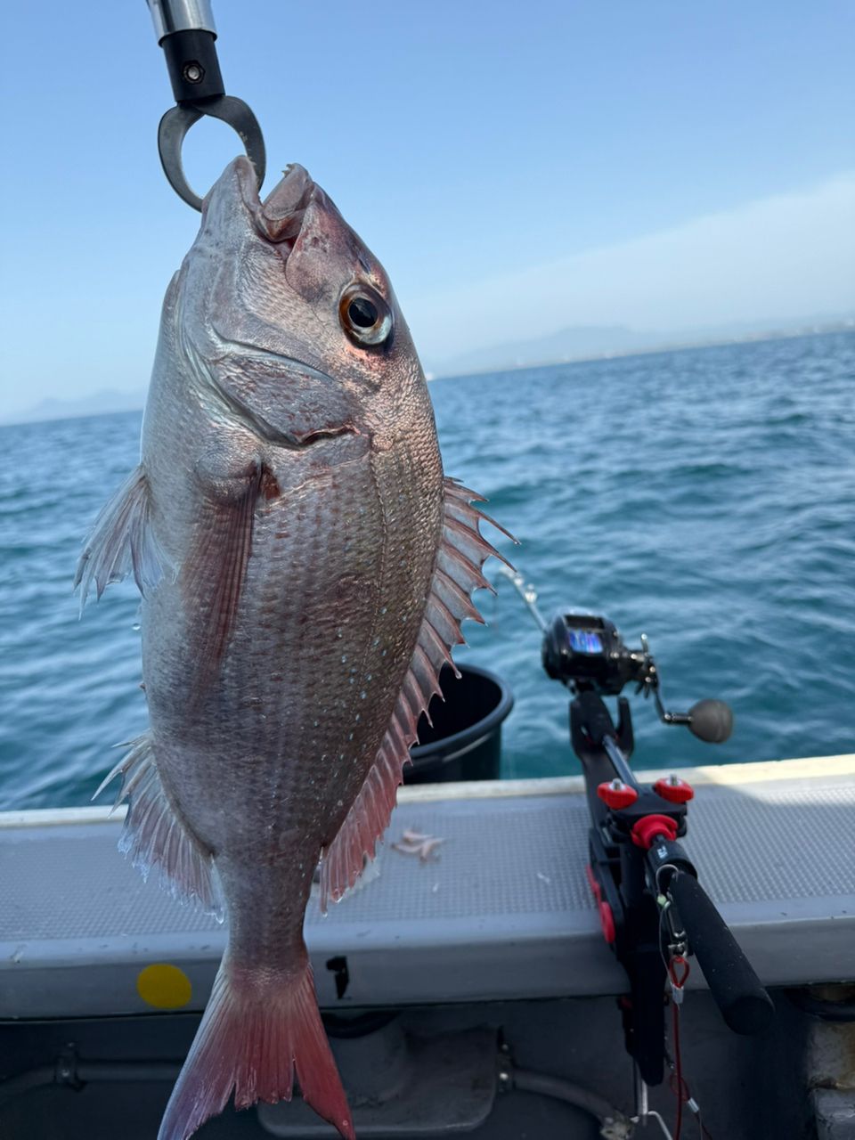 R.T.さんの釣果 1枚目の画像