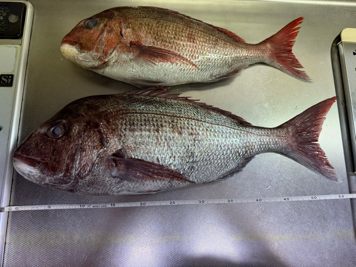 R.T.さんの釣果 3枚目の画像