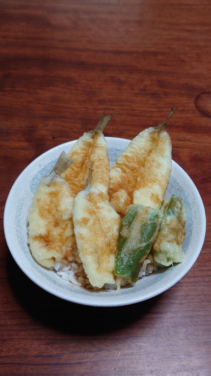 シロギス