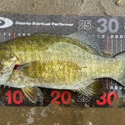 スモールマウスバス