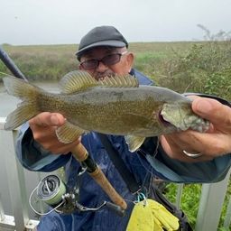 ラージマウスバス