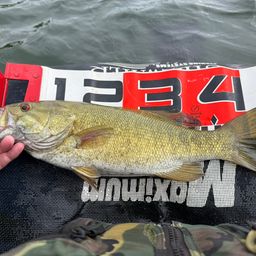 スモールマウスバス