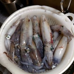 マメイカ