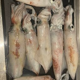マルイカ