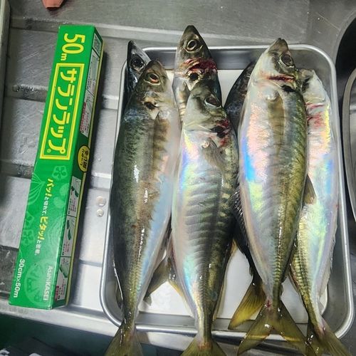 釣果