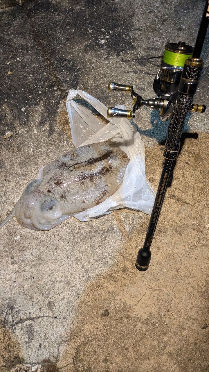 アサルトジェット タイプS 75mmh ゼスタ（XESTA） アサルトジェットタイプS 75MMH アグレッシブ