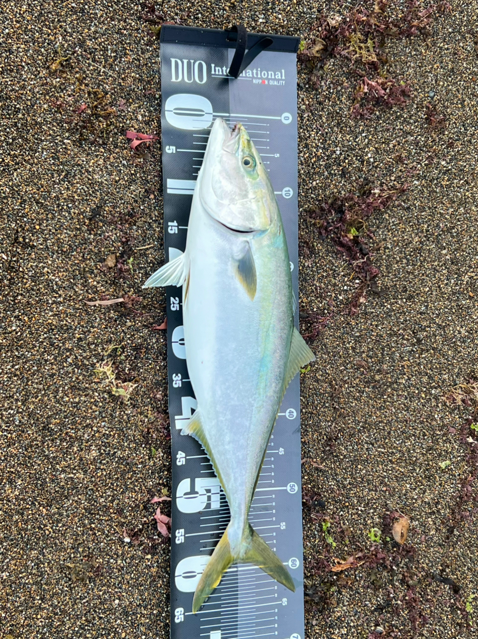 シマノ(SHIMANO) 18ディアルーナ S106MH ディアルーナ[DIALUNA