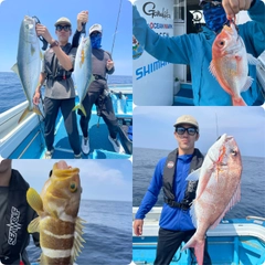 メジロの釣果