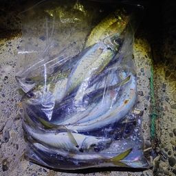 アジ