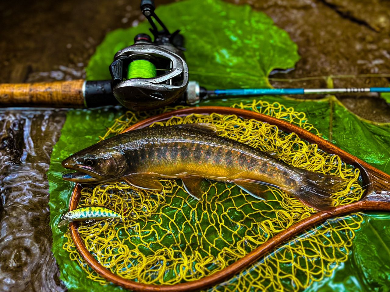 Y*i様 ABU Garcia ズームサファリ　アブガルシア　464L abu036282146860_2.jpg