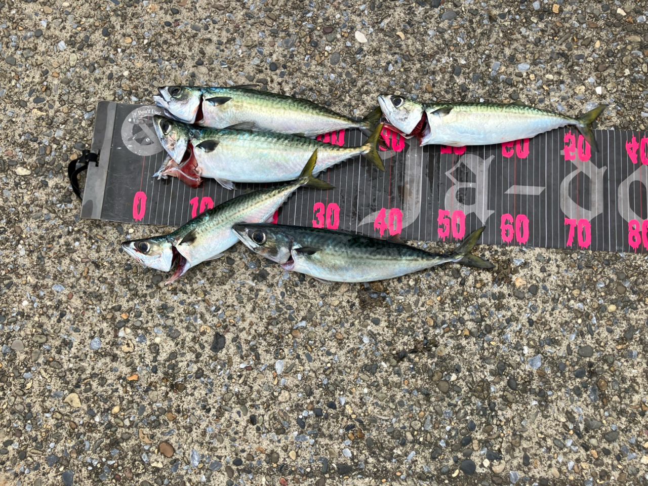 MajorCraft 「三代目」クロステージ ボートシーバス CRX-702M/S