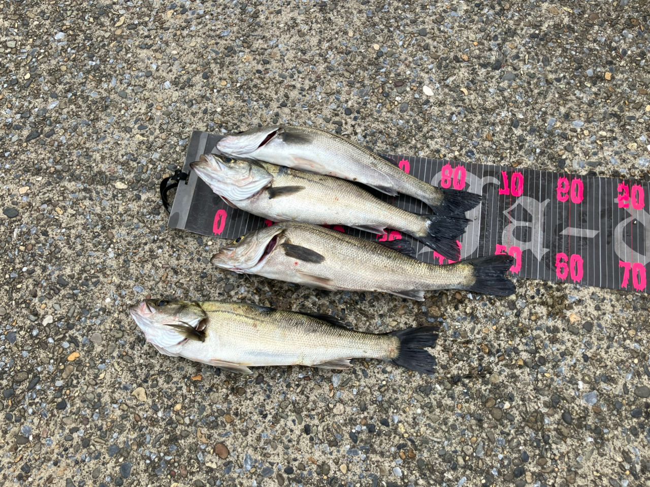 MajorCraft 「三代目」クロステージ ボートシーバス CRX-702M/Sの最