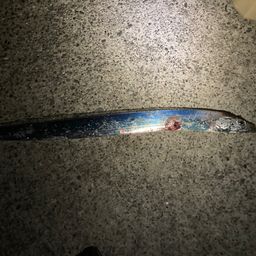 タチウオ