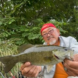 スモールマウスバス