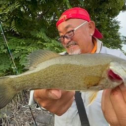 スモールマウスバス