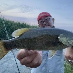 スモールマウスバス