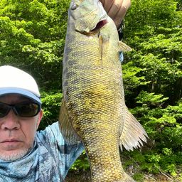 スモールマウスバス