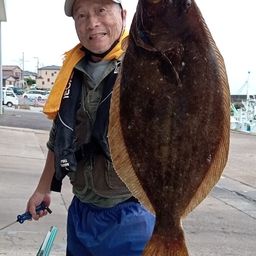 ヒラメ