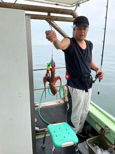 タコの釣果