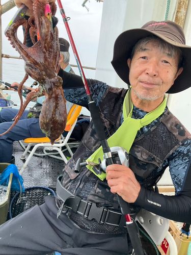 タコの釣果