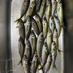 アジ