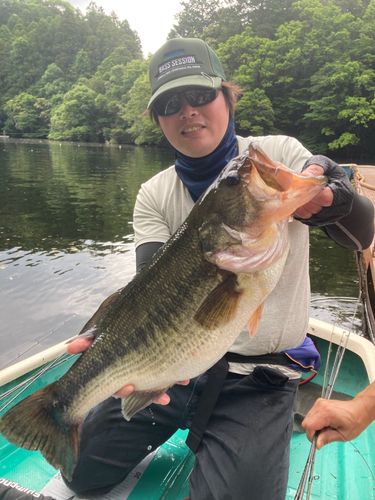 ブラックバスの釣果