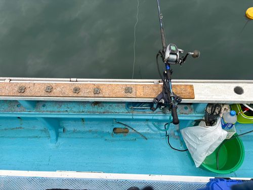 クロムツの釣果