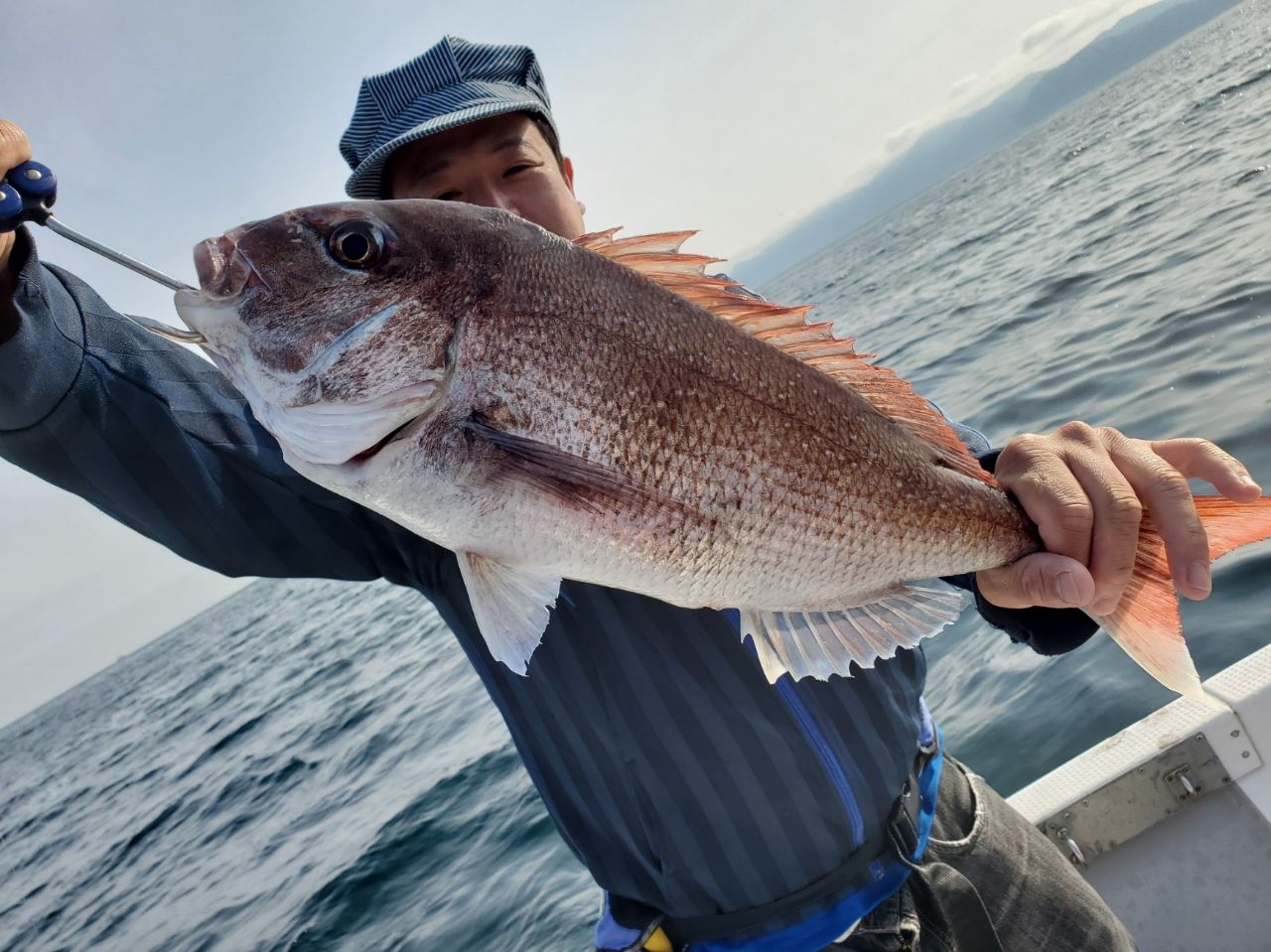 船釣りタイ30号2.3メ-タ- 漁風丸】最新の釣果情報 2025年9月速報 - アングラーズ釣船予約